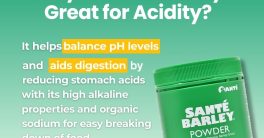 "Beat Acidity: Is Barley the Secret Cure?"  natural remedies for acidity, alkaline foods benefits, digestion support solutions