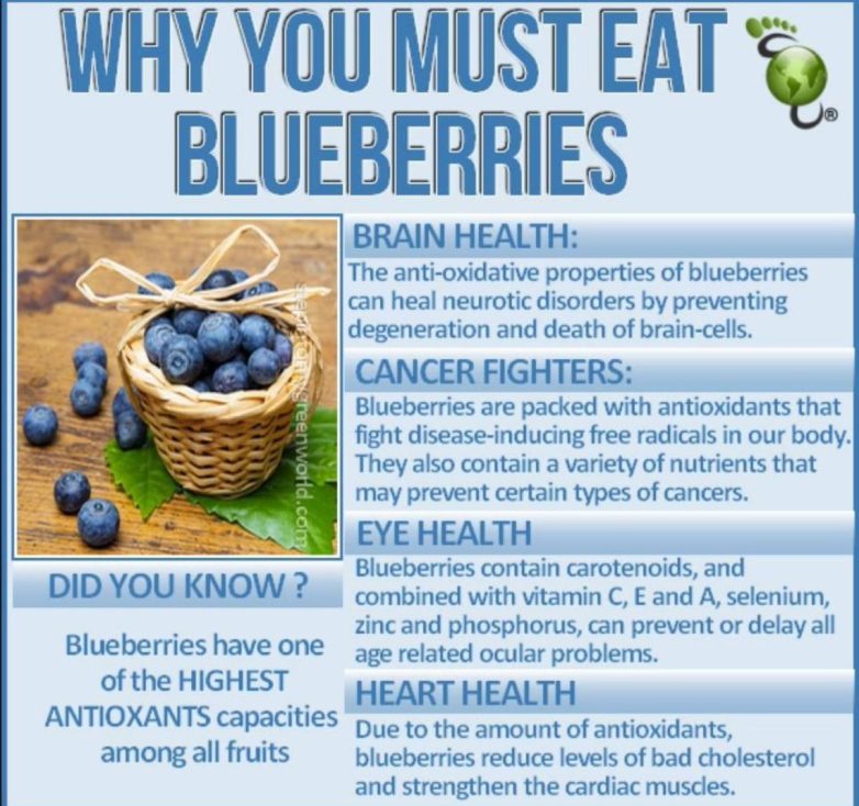 "Blueberries: Nature's Secret Weapon for Health!"  blueberry health benefits, natural antioxidants for wellness, superfoods for brain health