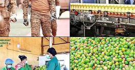 "Burkina Faso's Bold Move: Juice Over Booze!"  natural beverage industry Burkina Faso, healthy drink trends Africa, local juice production employment