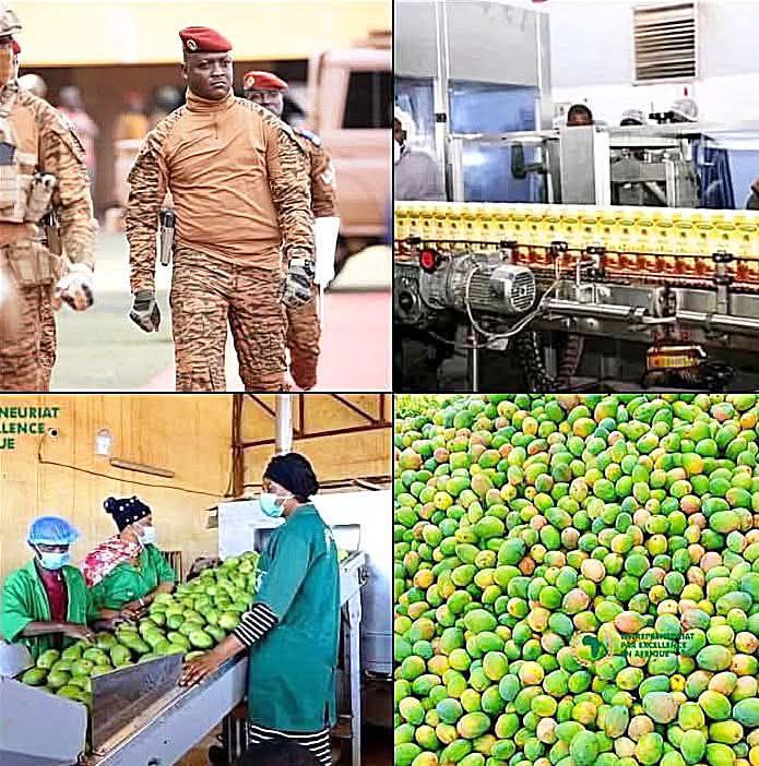 "Burkina Faso's Bold Move: Juice Over Booze!" natural beverage industry Burkina Faso, healthy drink trends Africa, local juice production employment