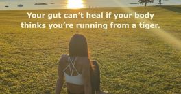 "Reclaim Your Rhythm: Break Free from Modern Chaos"  mindful living, natural wellness, holistic health practices