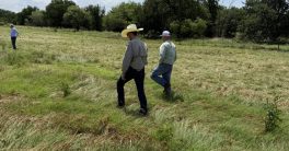 "Revolution or Ruin? The Truth About Regenerative Ranching"  sustainable livestock management, ecological farming techniques, soil health restoration