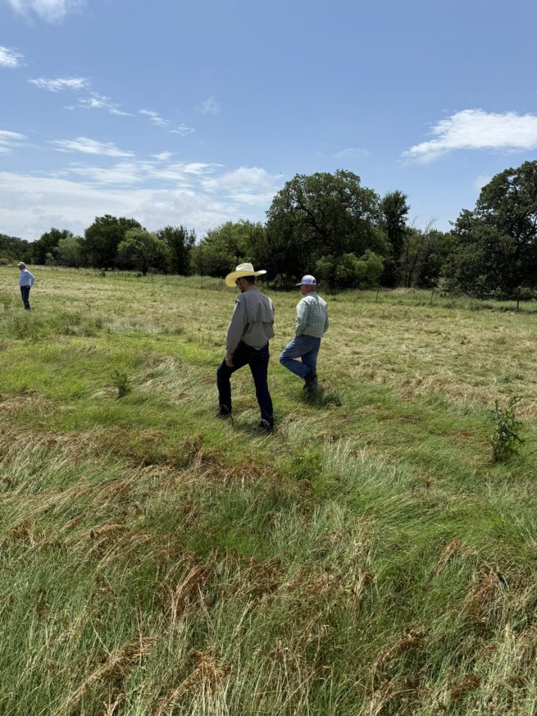 "Revolution or Ruin? The Truth About Regenerative Ranching" sustainable livestock management, ecological farming techniques, soil health restoration