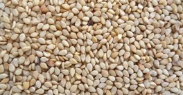 Unlock Fertility Secrets: Roast Sesame Seeds Today!  male fertility remedies, natural sperm boosters, roasted sesame seed benefits