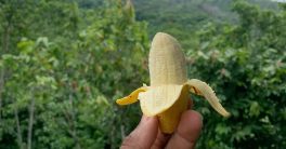 "Unlock Happiness: The Surprising Fruit Connection!"  best fruits for mood enhancement, natural serotonin boosters, healthy snacks for better sleep